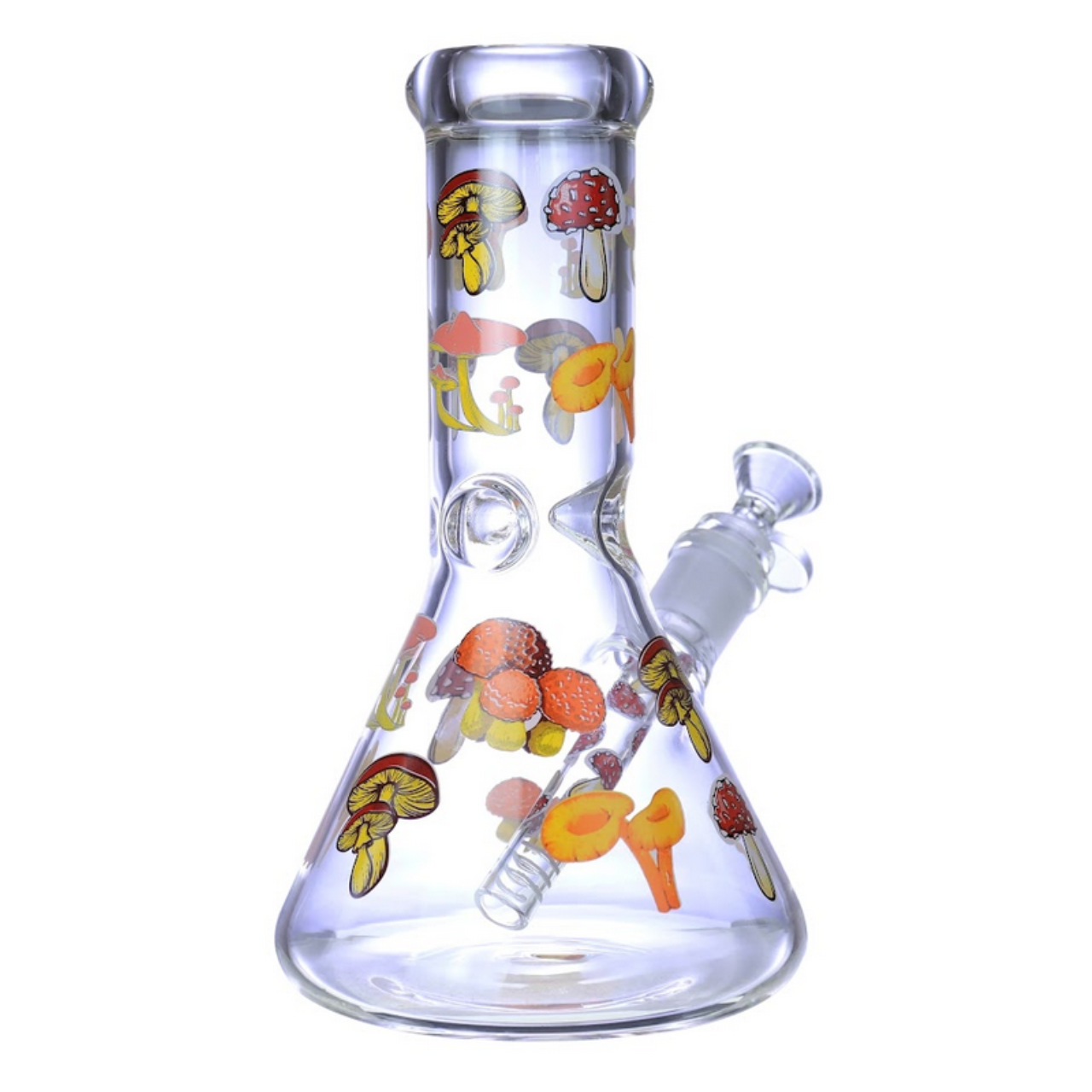 PREMIUM GLASS FRUITS DESIGN BEAKER 9" WATERPIPE (WP-619)
